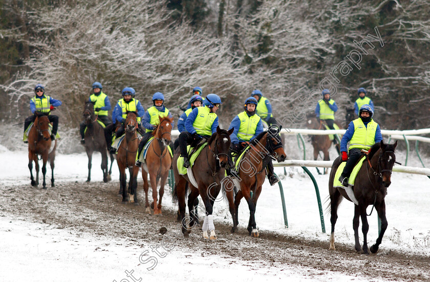 Newmarket-Snow-0009 
 Racehorses training in the snow at Newmarket
1 Feb 2019 - Pic Steven Cargill / Racingfotos.com