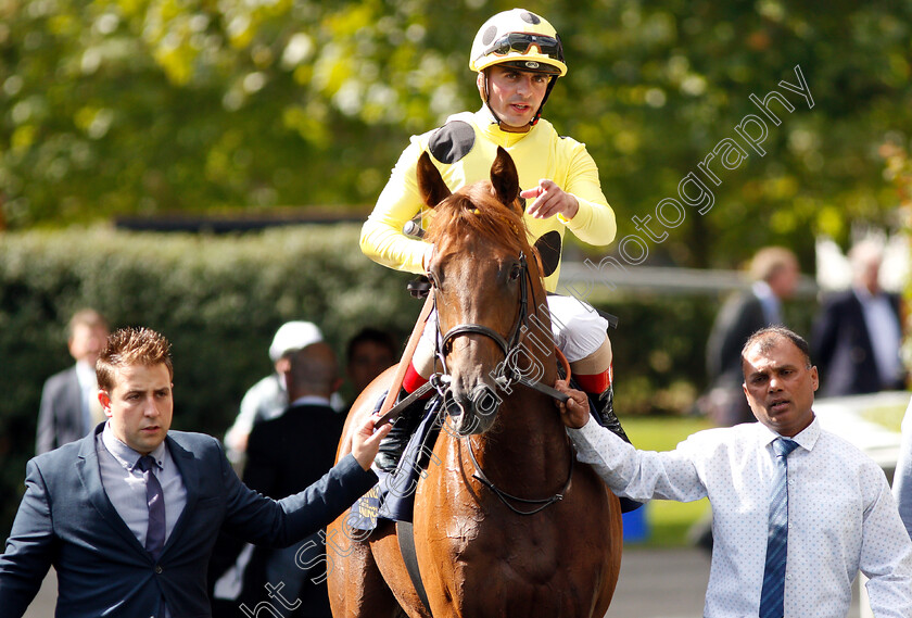 Prince-Eiji-0009 
 PRINCE EIJI (Andrea Atzeni) after The Charbonnel Et Walker British EBF Maiden Stakes
Ascot 7 Sep 2018 - Pic Steven Cargill / Racingfotos.com