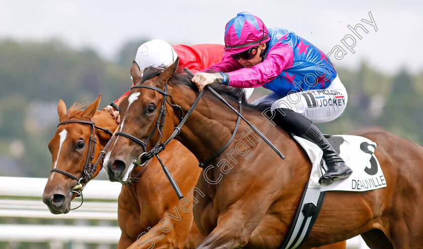 Dare-To-Dream-0003 
 DARE TO DREAM (T Piccone) wins The Prix de la Reboursiere
Deauville 12 Aug 2023 - Pic Steven Cargill / Racingfotos.com