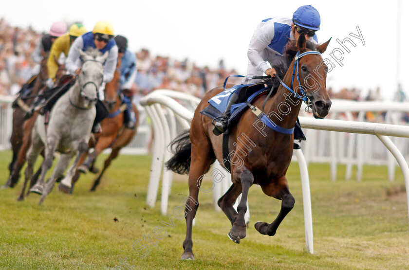 Island-Song-0003 
 ISLAND SONG (Freddy Tett)
Les Landes Jersey 26 Aug 2019 - Pic Steven Cargill / Racingfotos.com