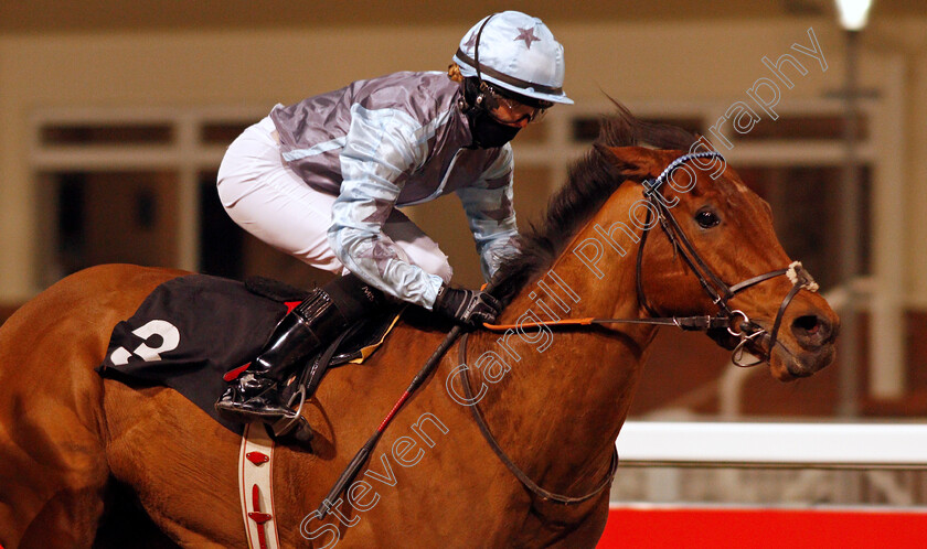 Hunters-Step-0005 
 HUNTERS STEP (Grace McEntee) wins The Racing Welfare Handicap Div1
Chelmsford 18 Feb 2021 - Pic Steven Cargill / Racingfotos.com