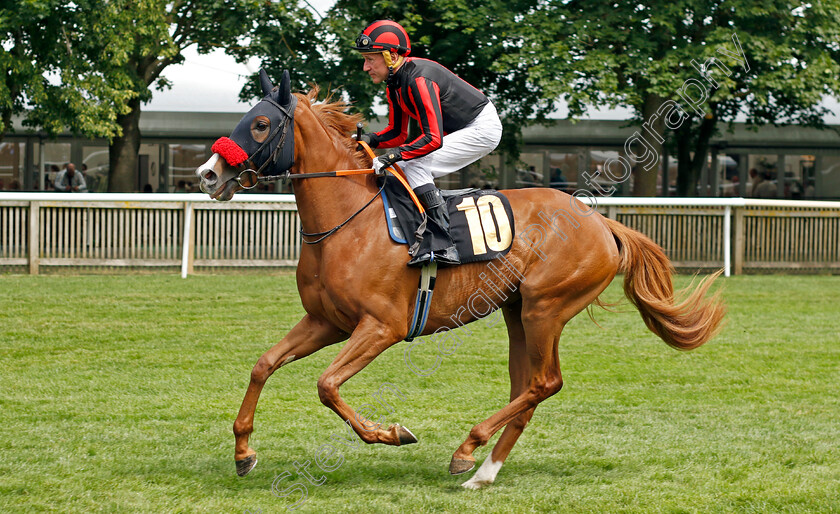 Spirit-La-Adelita-0001 
 SPIRIT LA ADELITA (John Egan)
Newmarket 15 Jul 2023 - Pic Steven Cargill / Racingfotos.com