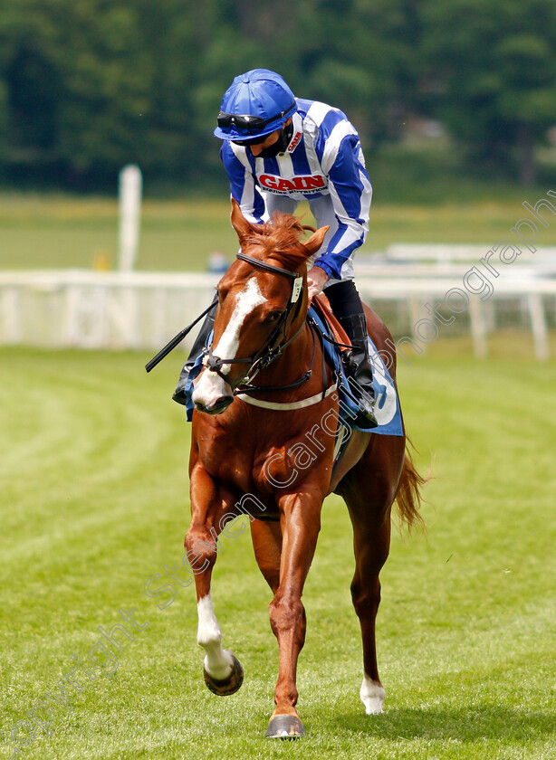 Iur-Cinn-Tra-0001 
 IUR CINN TRA (Daniel Tudhope)
York 11 Jun 2021 - Pic Steven Cargill / Racingfotos.com