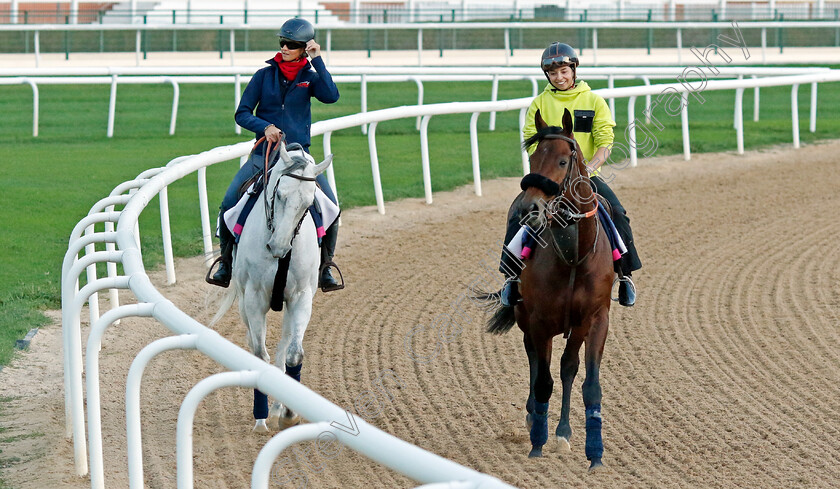 Russipant-Fal-and-Batwan-0001 
 RUSSIPANT FAL (right) with BATWAN (left) training at the Dubai Racing Carnival 
Meydan 2 Jan 2025 - Pic Steven Cargill / Racingfotos.com