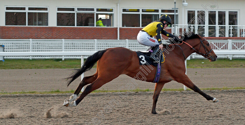 Autumn-Flight-0006 
 AUTUMN FLIGHT (Hollie Doyle) wins The tote.co.uk Live Streaming Every UK Race Handicap
Chelmsford 1 Apr 2021 - Pic Steven Cargill / Racingfotos.com