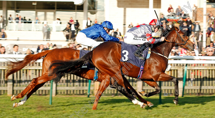 Knight-To-Behold-0005 
 KNIGHT TO BEHOLD (Richard Kingscote) wins The British EBF Racing UK Novice Stakes Newmarket 25 Oct 2017 - Pic Steven Cargill / Racingfotos.com