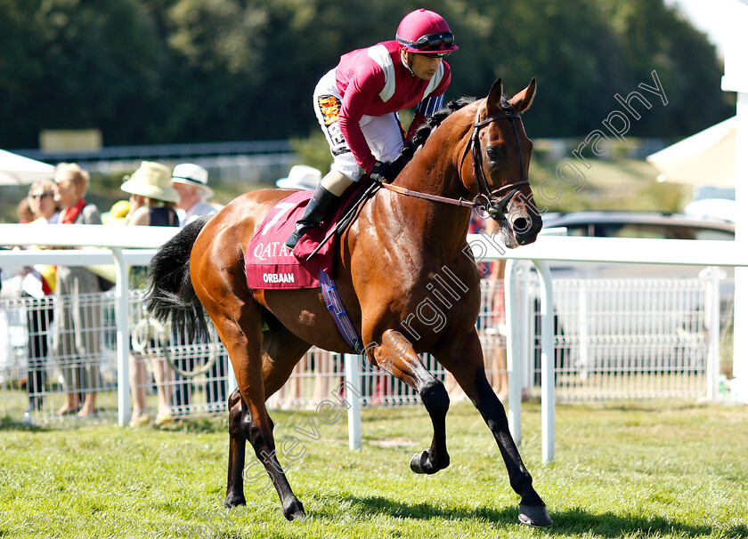 Orbaan-0002 
 ORBAAN (Silvestre De Sousa)
Goowood 1 Aug 2018 - Pic Steven Cargill / Racingfotos.com