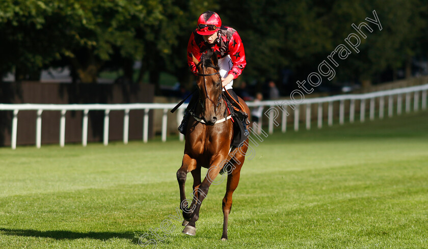 Naina-0004 
 NAINA (Christian Howarth) winner of The Maritime Cargo Services Ocean Freight Frenzy Selling Stakes
Newmarket 9 Aug 2024 - Pic Steven Cargill / Racingfotos.com