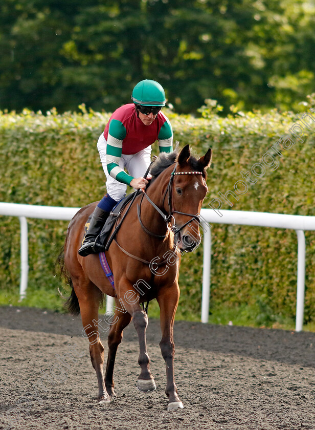 Never-The-Twain-0001 
 NEVER THE TWAIN (Jim Crowley)
Kempton 12 Jun 2024 - Pic Steven Cargill / Racingfotos.com