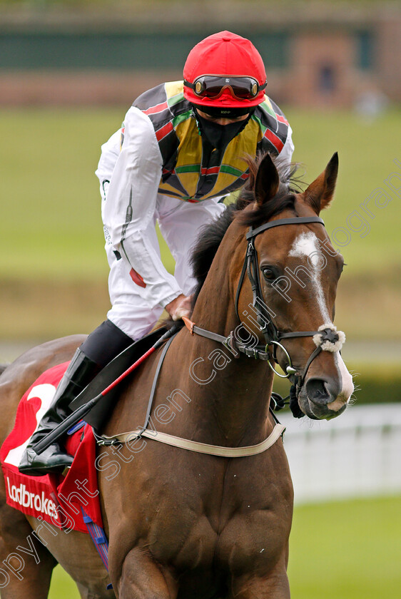 Escobar-0002 
 ESCOBAR (Daniel Tudhope)
Goodwood 30 Aug 2020 - Pic Steven Cargill / Racingfotos.com