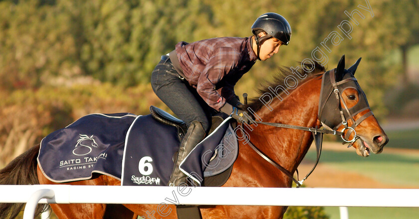 Lauda-Sion-0001 
 LAUDA SION training for The Turf Sprint
King Abdulaziz Racetrack, Riyadh, Saudi Arabia 22 Feb 2022 - Pic Steven Cargill / Racingfotos.com