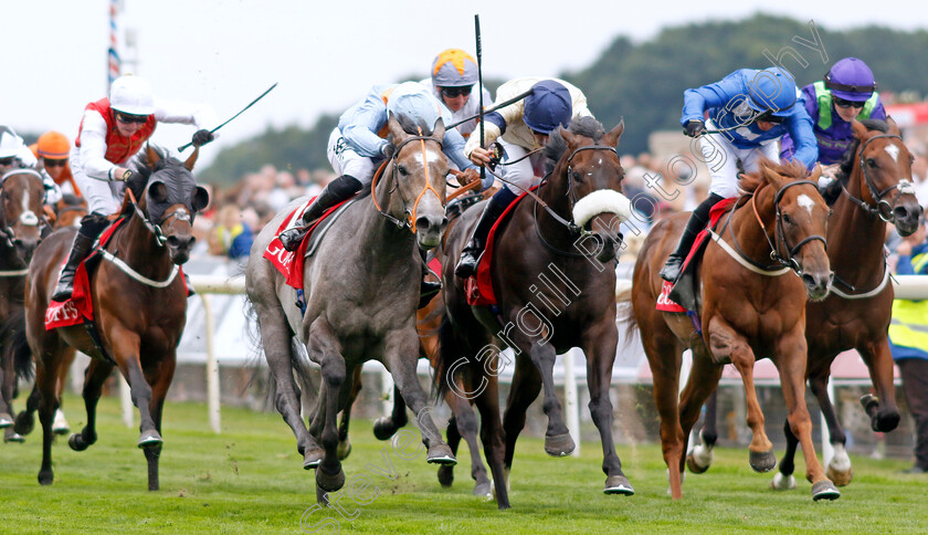 Shouldvebeenaring-0001 
 SHOULDVEBEENARING (left, Sean Levey) beats WASHINGTON HEIGHTS (centre) and NORTHCLIFF (right) in The Goffs UK Harry Beeby Premier Yearling Stakes
York 18 Aug 2022 - Pic Steven Cargill / Racingfotos.com