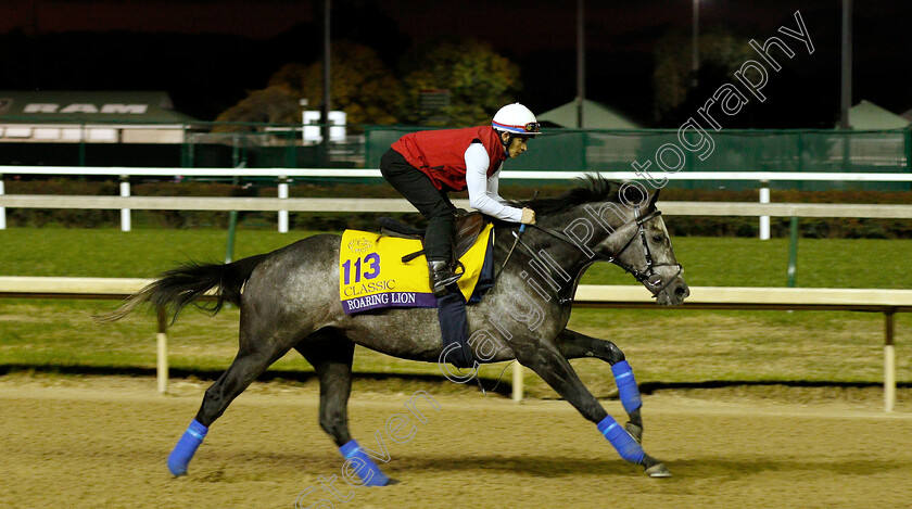 Roaring-Lion-0005 
 ROARING LION exercising ahead of The Breeders' Cup Classic
Churchill Downs USA 31 Oct 2018 - Pic Steven Cargill / Racingfotos.com