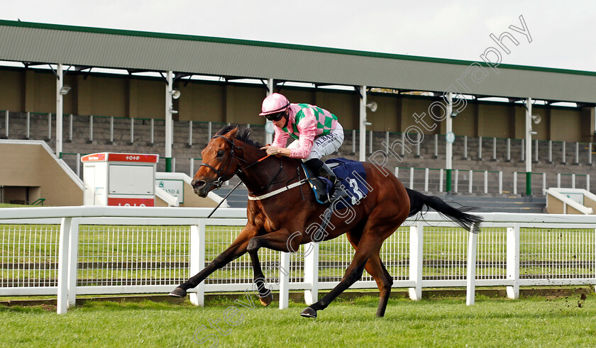 Aspiration-0003 
 ASPIRATION (Tom Marquand) wins The At The Races Maiden Stakes
Yarmouth 20 Oct 2020 - Pic Steven Cargill / Racingfotos.com