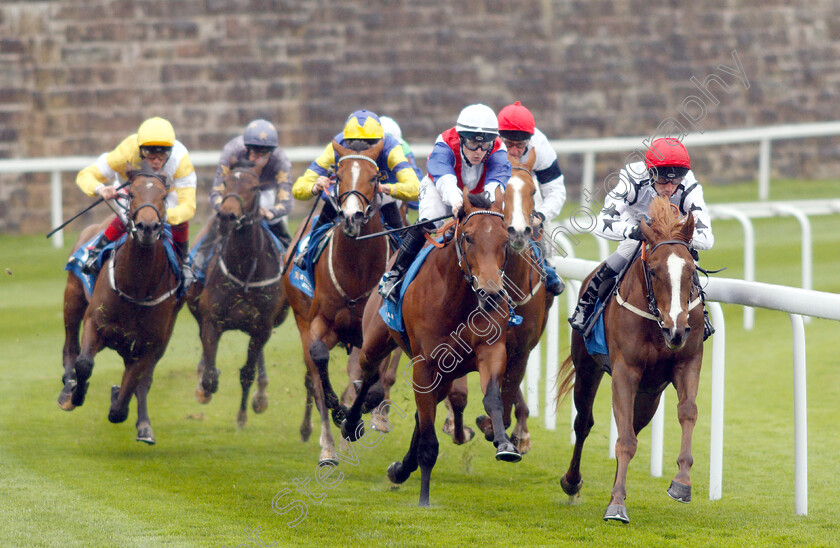 Great-Dame-0003 
 GREAT DAME (right, Daniel Tudhope) beats IVA REFLECTION (centre) in The Stellar Group Lily Agnes Stakes
Chester 8 May 2019 - Pic Steven Cargill / Racingfotos.com