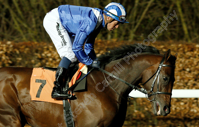 Jahbath-0005 
 JAHBATH (Jim Crowley) before The Road To The Kentucky Derby Stakes
Kempton 6 Mar 2019 - Pic Steven Cargill / Racingfotos.com