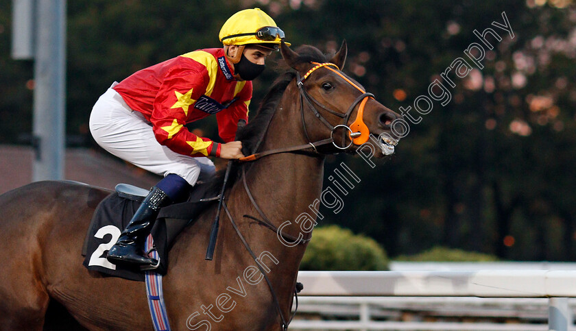 Duke-Of-Prussia-0001 
 DUKE OF PRUSSIA (Ryan Tate)
Chlmsford 15 Oct 2020 - Pic Steven Cargill / Racingfotos.com