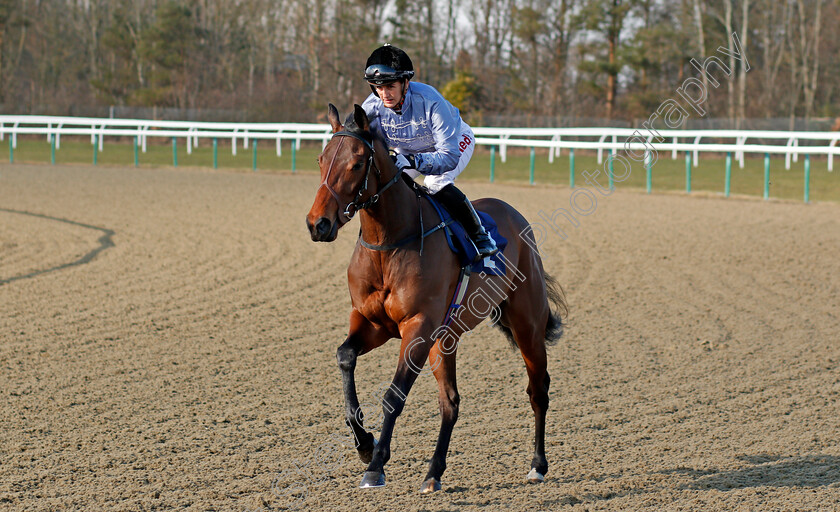 New-Orleans-0001 
 NEW ORLEANS (Josephine Gordon) Lingfield 27 Feb 2018 - pic Steven Cargill / Racingfotos.com