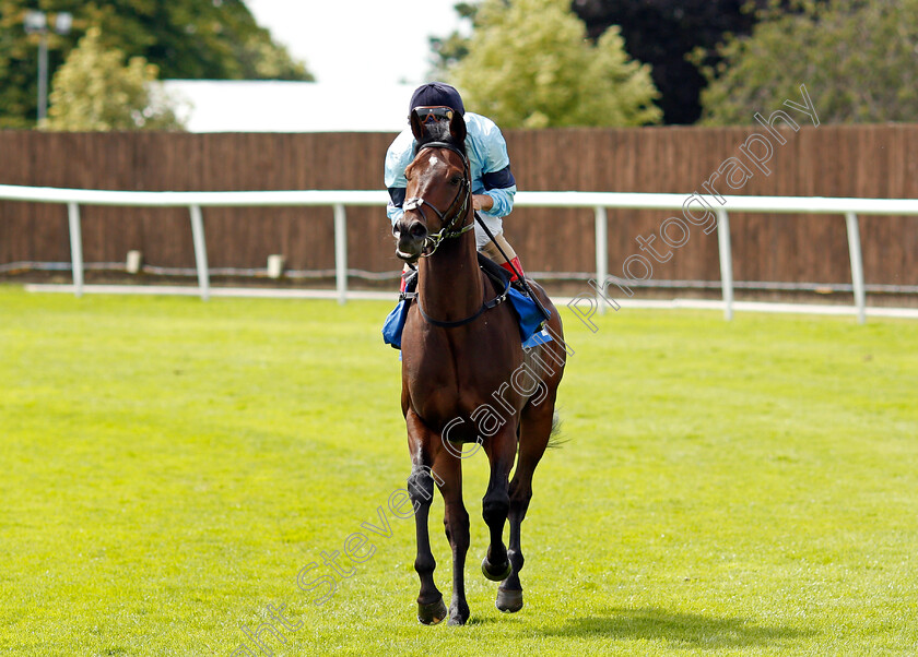 Civilian-0002 
 CIVILIAN (Andrea Atzeni)
Leicester 15 Jul 2021 - Pic Steven Cargill / Racingfotos.com