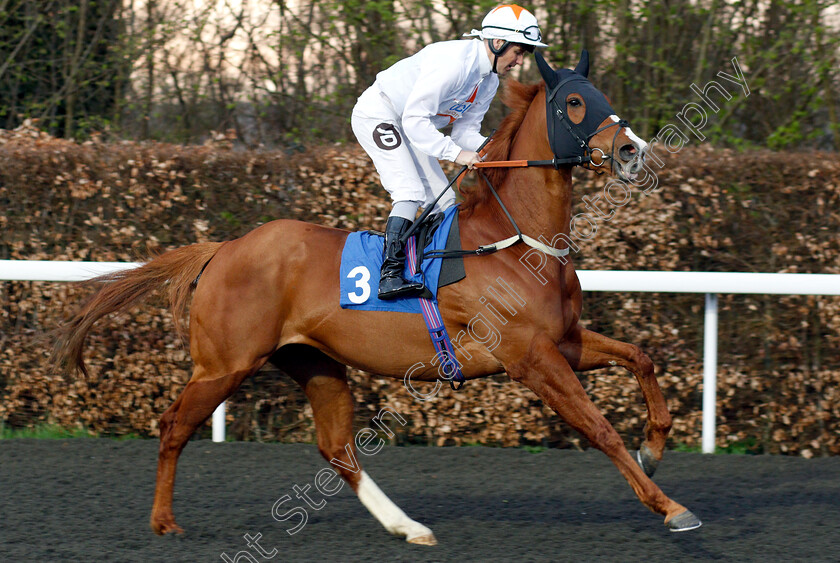 Magical-Ride-0001 
 MAGICAL RIDE (Tom Queally)
Kempton 23 Mar 2019 - Pic Steven Cargill / Racingfotos.com