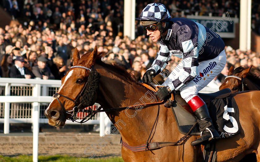 Rock-The-Kasbah-0009 
 ROCK THE KASBAH (Richard Johnson) wins The BetVictor.com Handicap Chase
Cheltenham 17 Nov 2018 - Pic Steven Cargill / Racingfotos.com