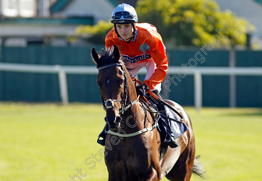 Manton-Road-0001 
 MANTON ROAD (Jonny Peate)
Yarmouth 17 Sep 2024 - Pic Steven Cargill / Racingfotos.com