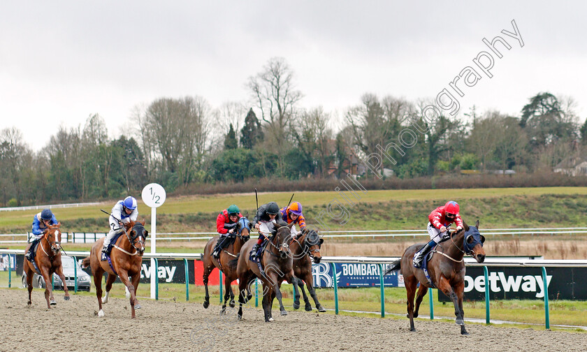 Axel-Jacklin-0001 
 AXEL JACKLIN (Joey Haynes) wins The Bombardier British Hopped Amber Beer Handicap Div1
Lingfield 29 Jan 2021 - Pic Steven Cargill / Racingfotos.com