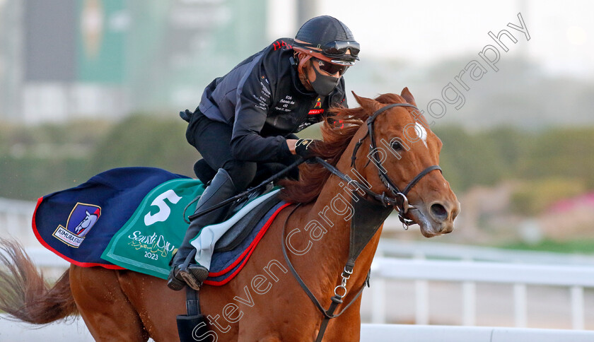 Geoglyph-0001 
 GEOGLYPH training for The Saudi Cup
King Abdulaziz Racecourse, Kingdom of Saudi Arabia, 22 Feb 2023 - Pic Steven Cargill / Racingfotos.com