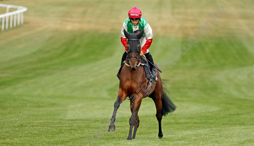 Total-Lockdown 
 TOTAL LOCKDOWN (Collen Storey)
Newmarket 22 Jul 2022 - Pic Steven Cargill / Racingfotos.com