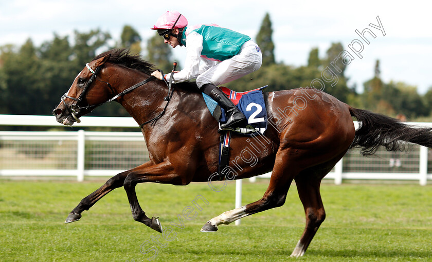 First-Eleven-0008 
 FIRST ELEVEN (Robert Havlin) wins The Lavazza Handicap
Ascot 8 Sep 2018 - Pic Steven Cargill / Racingfotos.com