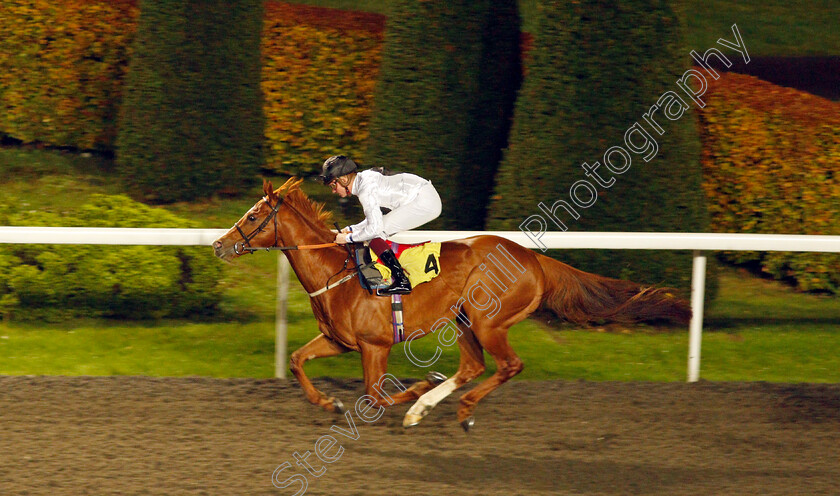 Hover-0007 
 HOVER (Rob Hornby) wins The Unibet Casino Deposit £10 Get £40 Bonus Handicap
Kempton 10 Nov 2021 - Pic Steven Cargill / Racingfotos.com