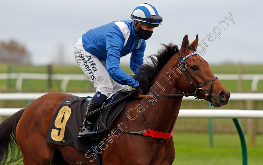 Modmin-0002 
 MODMIN (Jim Crowley)
Newmarket 30 Oct 2020 - Pic Steven Cargill / Racingfotos.com