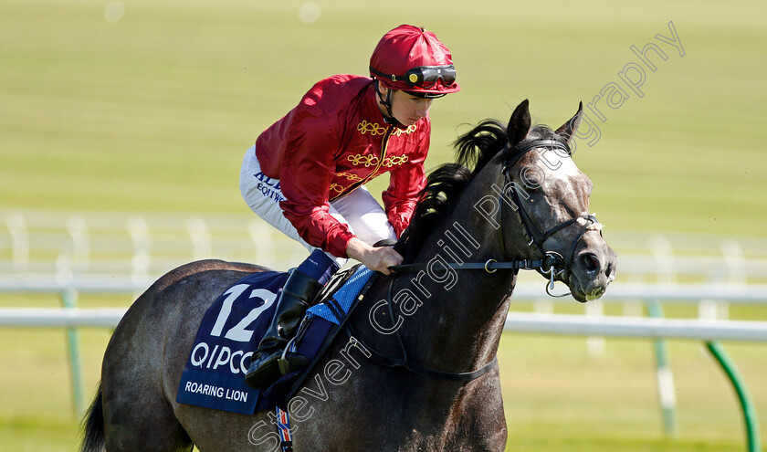 Roaring-Lion-0003 
 ROARING LION (Oisin Murphy) Newmarket 5 May 2018 - Pic Steven Cargill / Racingfotos.com