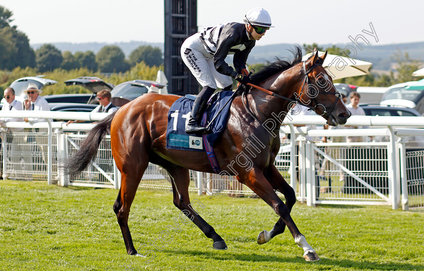 The-Fingal-Raven-0001 
 THE FINGAL RAVEN (Saffie Osborne)
Goodwood 30 Jul 2024 - Pic Steven Cargill / Racingfotos.com