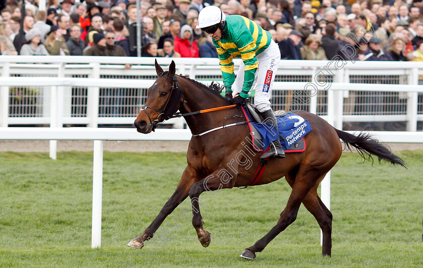 Sire-Du-Berlais-0005 
 SIRE DU BERLAIS (Barry Geraghty) wins The Pertemps Network Final Handicap Hurdle
Cheltenham 14 Mar 2019 - Pic Steven Cargill / Racingfotos.com