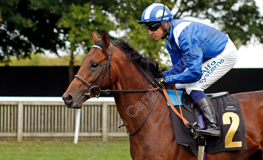 Eklil-0001 
 EKLIL (Jim Crowley)
Newmarket 27 Aug 2021 - Pic Steven Cargill / Racingfotos.com