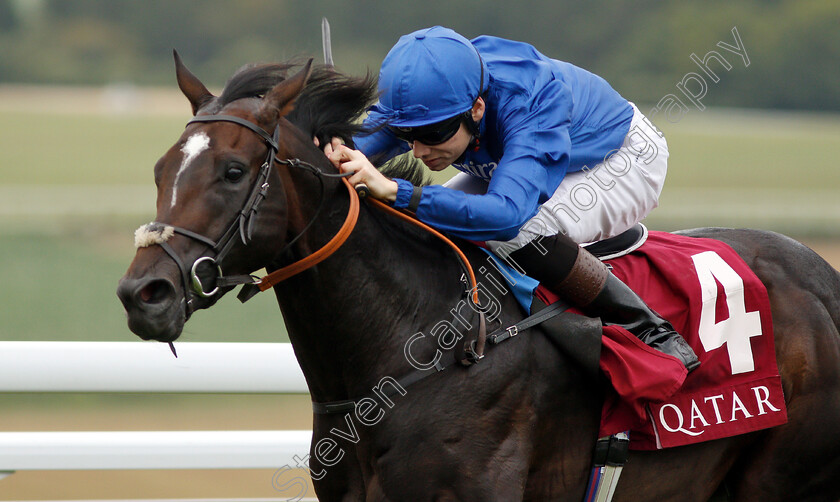 Land-Of-Legends-0003 
 LAND OF LEGENDS (Callum Shepherd) wins The Qatar Handicap
Goodwood 3 Aug 2019 - Pic Steven Cargill / Racingfotos.com