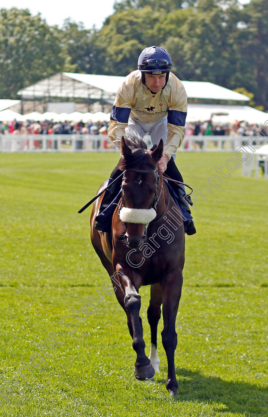 Washington-Heights-0001 
 WASHINGTON HEIGHTS (Tom Eaves)
Royal Ascot 22 Jun 2024 - Pic Steven Cargill / Racingfotos.com