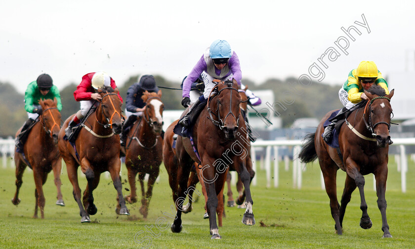 Dancing-Star-0005 
 DANCING STAR (centre, Oisin Murphy) beats EIRENE (right) in The Japan Racing Association Sceptre Stakes
Doncaster 14 Sep 2018 - Pic Steven Cargill / Racingfotos.com