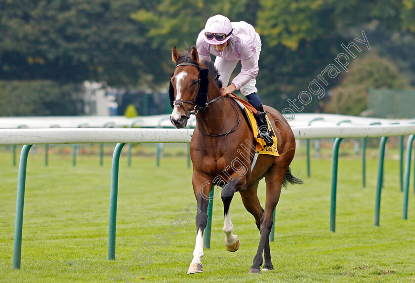 Grand-Alliance-0001 
 GRAND ALLIANCE (William Buick)
Haydock 7 Sep 2024 - Pic Steven Cargill / Racingfotos.com