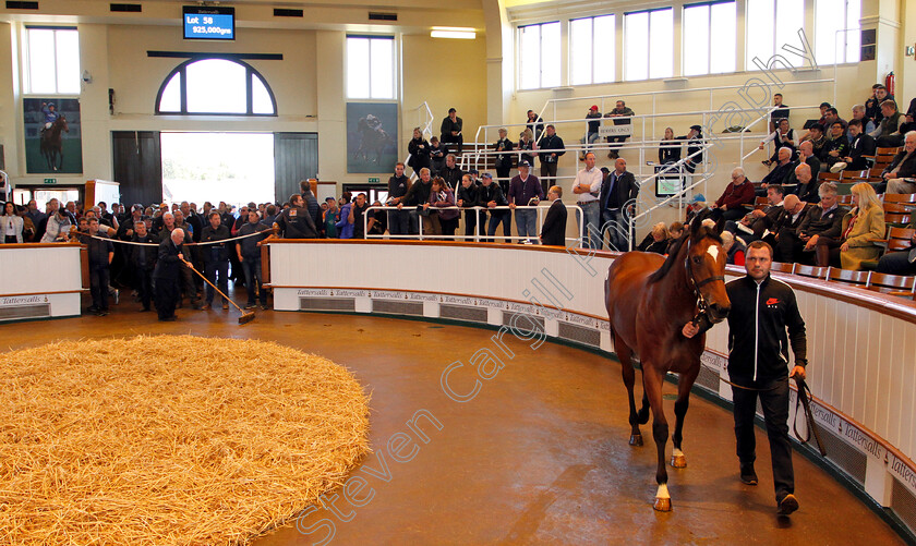 Lot-0058-Muhaarar-ex-Queenofthefairies-0001 
 Lot 058 a filly by Muhaarar ex Queenofthefairies selling at Tattersalls Yearling Sale Book1
Newmarket 9 Oct 2018 - Pic Steven Cargill / Racingfotos.com