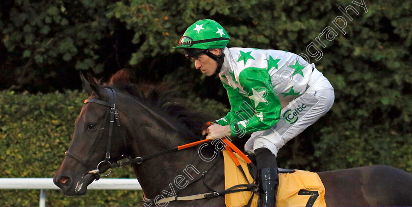 Sapphire-Sirocco-0003 
 SAPPHIRE SIROCCO (Paddy Bradley)
Kempton 28 Aug 2024 - Pic Steven Cargill / Racingfotos.com