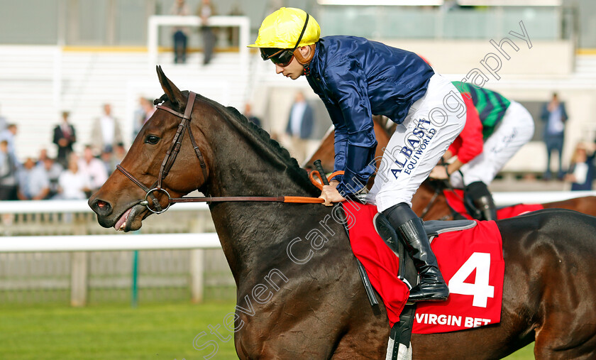 Mqse-De-Sevigne-0002 
 MQSE DE SEVIGNE (Alexis Pouchin)
Newmarket 7 Oct 2023 - Pic Steven Cargill / Racingfotos.com