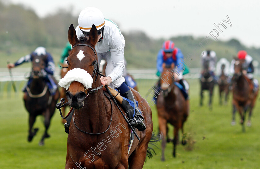 I m-Available-0007 
 I'M AVAILABLE (Oisin Murphy) wins The #Goracinggreen Fillies Handicap
Nottingham 30 Apr 2019 - Pic Steven Cargill / Racingfotos.com