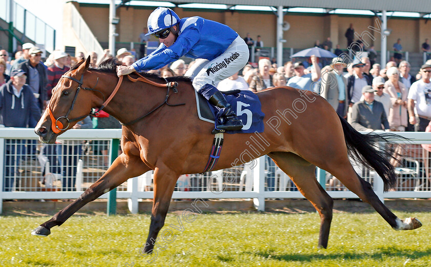 Jamaheery-0004 
 JAMAHEERY (Jim Crowley) wins The British EBF Fillies Novice Stakes
Yarmouth 19 Sep 2019 - Pic Steven Cargill / Racingfotos.com