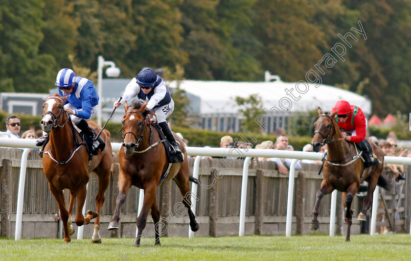 Old-Port-0001 
 OLD PORT (2nd left, Richard Kingscote) beats MAHRAJAAN (left) in The Patti Crook Memorial Handicap
Newmarket 30 Jul 2022 - Pic Steven Cargill / Racingfotos.com