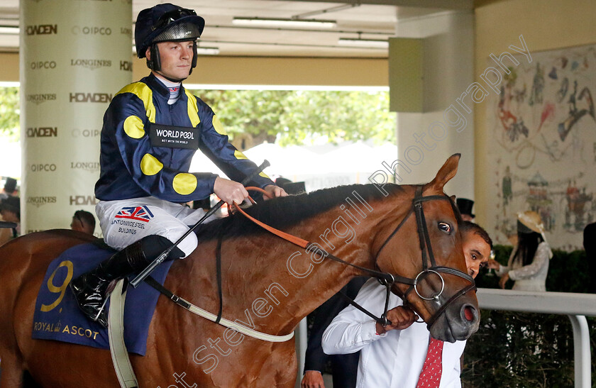 Moon-Sniper-0001 
 MOON SNIPER (Lewis Edmunds)
Royal Ascot 22 Jun 2024 - Pic Steven Cargill / Racingfotos.com