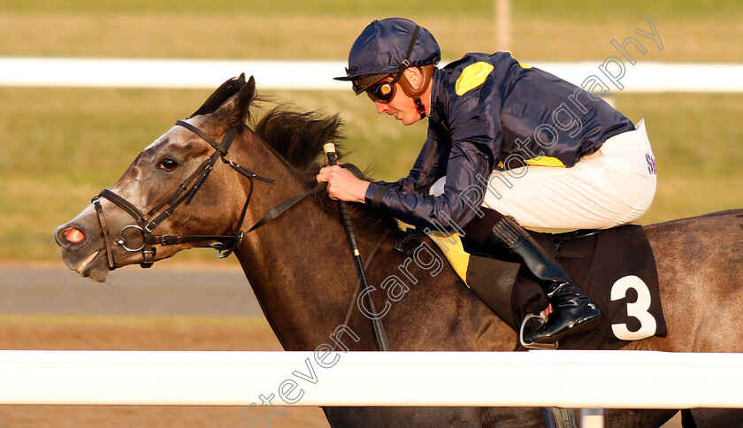 Ghaziyah-0006 
 GHAZIYAH (James Doyle) wins The Budweiser Brewing Group Novice Stakes Div2
Chelmsford 23 Jul 2019 - Pic Steven Cargill / Racingfotos.com