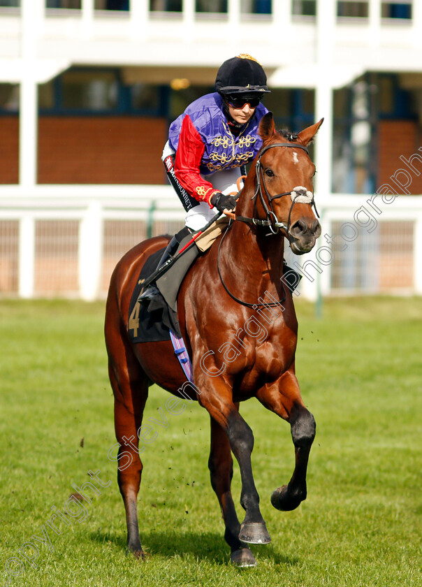 Duty-Bound 
 DUTY BOUND (Hayley Turner)
Nottingham 13 Oct 2021 - Pic Steven Cargill / Racingfotos.com