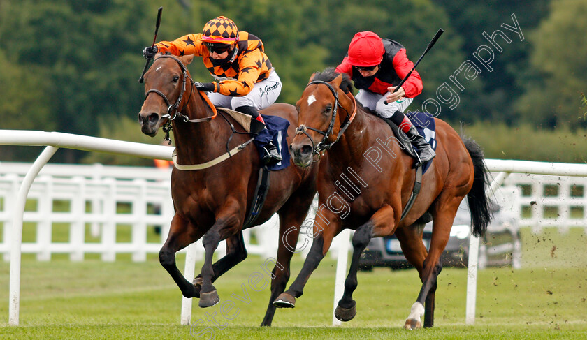 Brenner-Pass-0002 
 BRENNER PASS (right, Shane Kelly) beats EDGE OF THE BAY (left) in The Betway Novice Median Auction Stakes
Lingfield 7 Sep 2020 - Pic Steven Cargill / Racingfotos.com